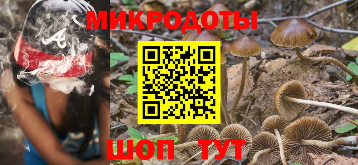 Галлюциногенные грибы Psilocybine cubensis Губкин