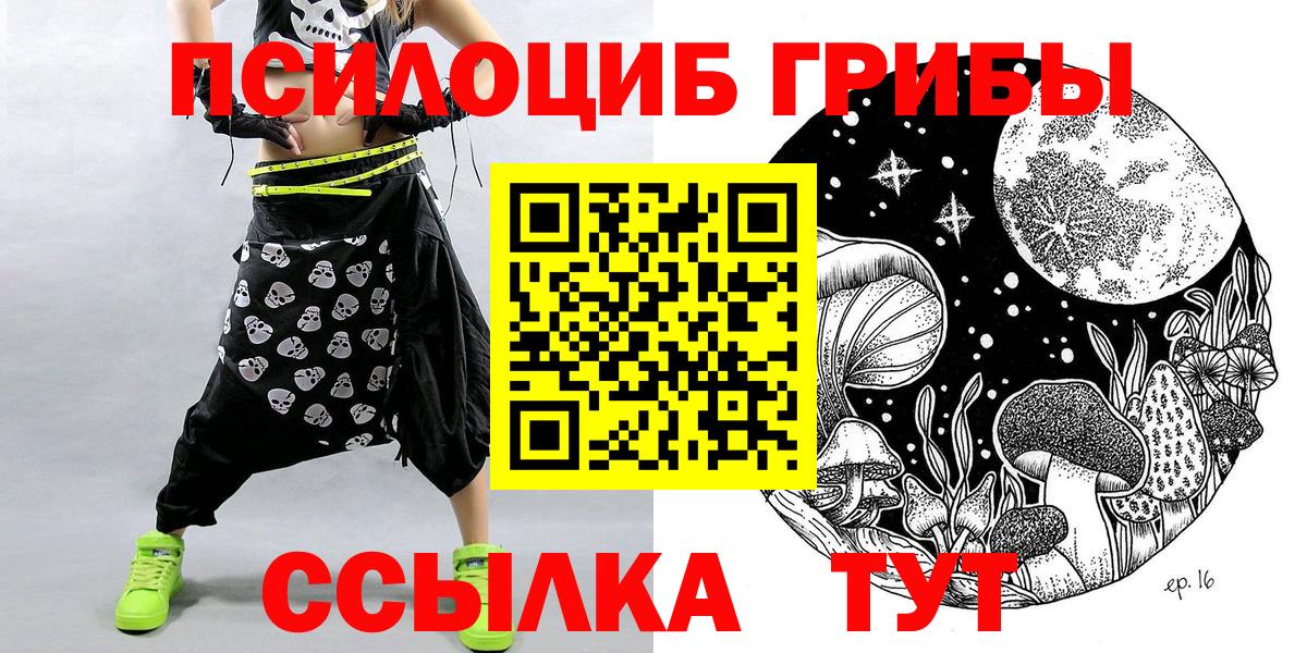 как найти закладки  Галлюциногенные грибы Cubensis  Вход с VPN  Губкин  Галлюциногенные грибы ЛСД 