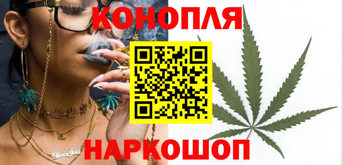 Бошки Шишки MAZAR Губкин